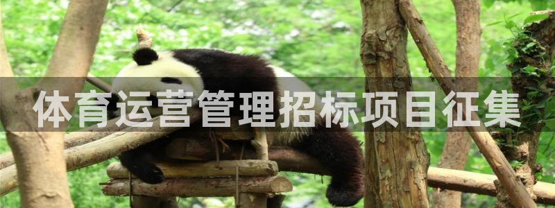 必一体育周公