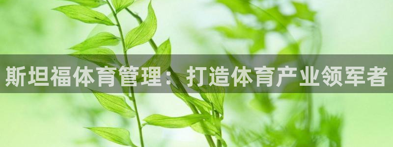 必一体育sport网页版