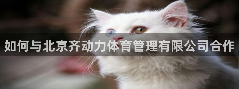 必一体育app官方网