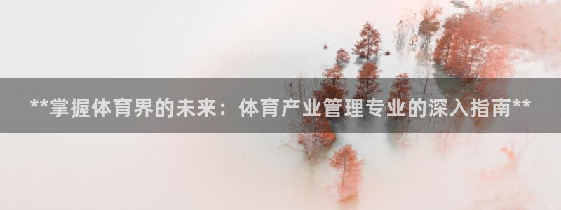 必一体育最新官网入口
