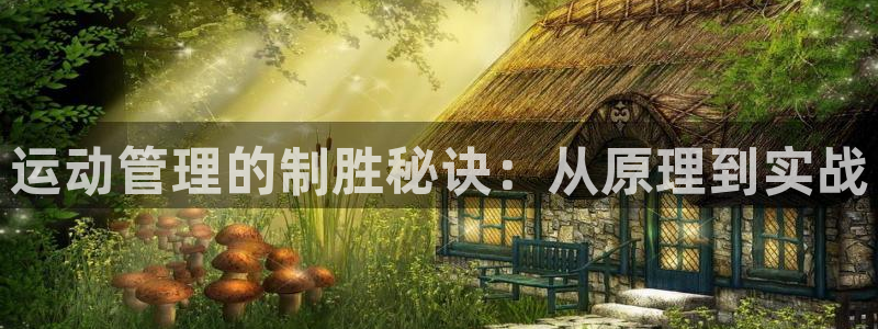 必一体育网站