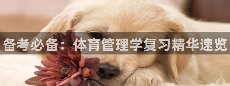必一运动体育