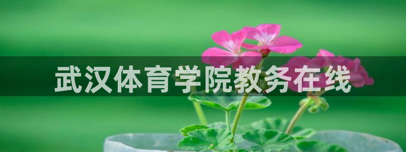 必十二和必一的副作用