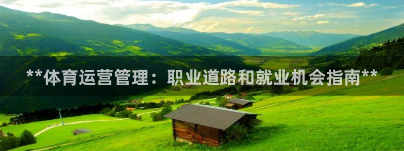必一体育服下载最新版