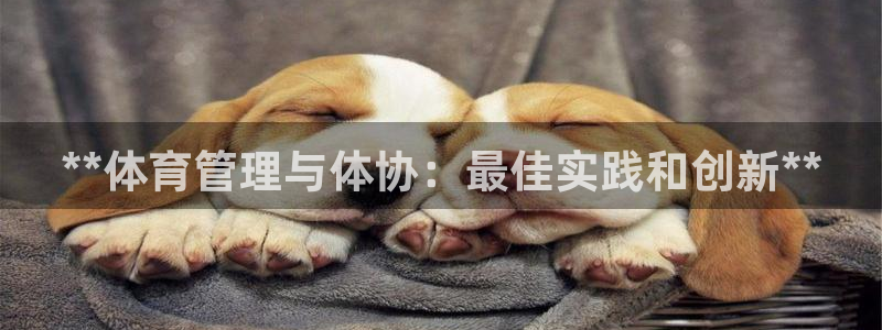 b体育必一运动网页版