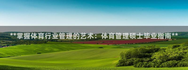 必一体育bsport
