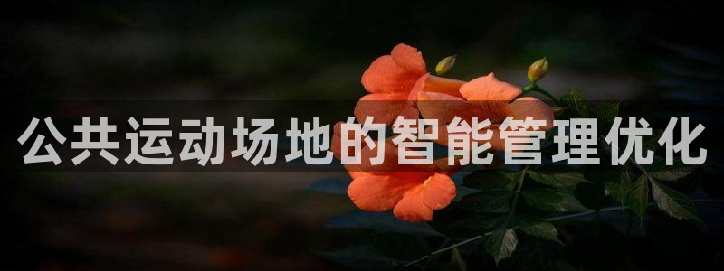 氵必一一厂一：公共运动场地的智能管理优化