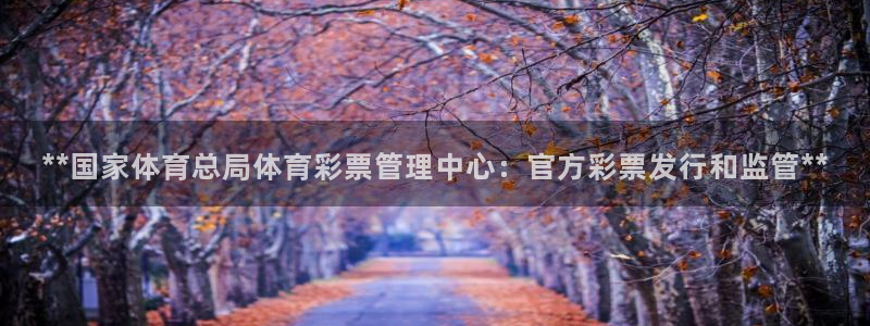 必一体育游戏特色：*