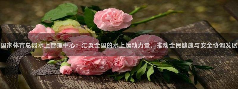 必一体育官方入口：国