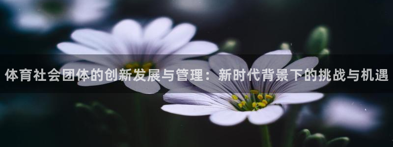 必一体育app下载安