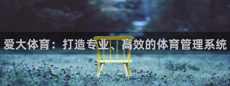 必一体育sport下