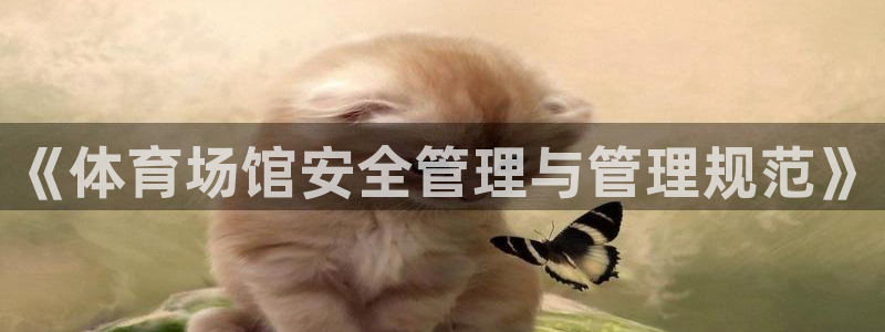必一体育官网网站：《