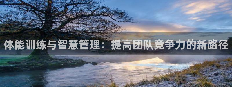 必一体育sport官
