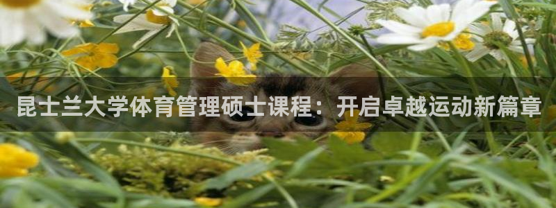 必一运动体育官网：昆士兰大学体育管理硕士课程：开启卓越运动新