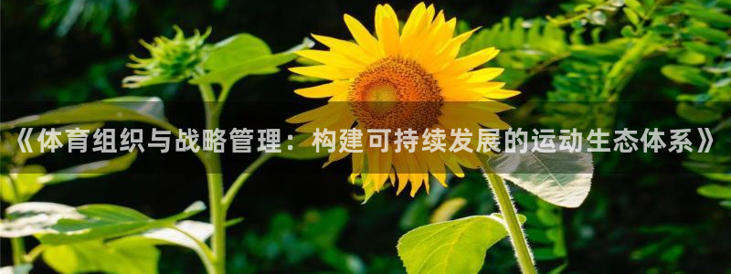 必一体育全站在线登录
