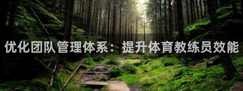 必一体育登录：优化团