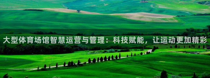 必一体育bsport