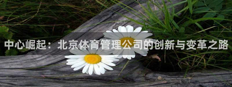 必一体育bsport