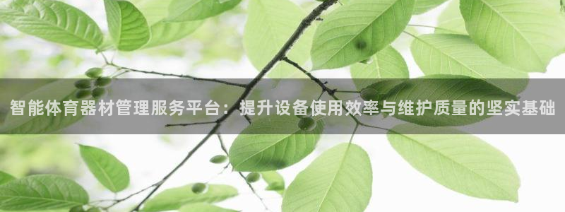 必一运动官网：智能体