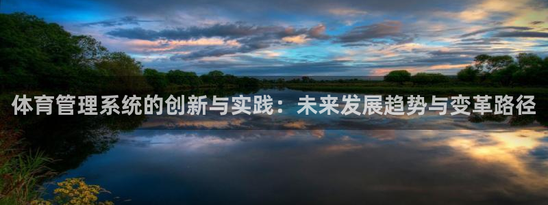 必一体育bsport下载：体育管理系统的创新与实践：未来发展