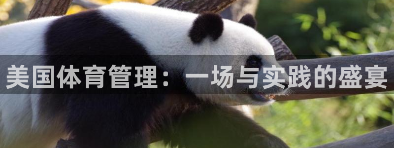 必一体育登陆：美国体育管理：一场与实践的盛宴