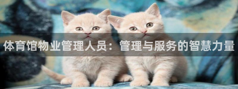 必一体育周公：体育馆物业管理人员：管理与服务的智慧力量