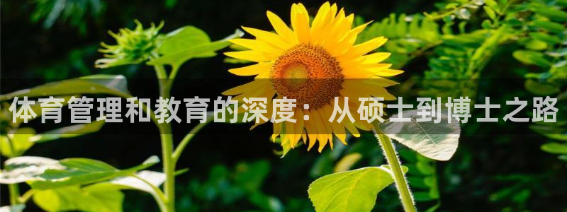 必一体育服下载最新版