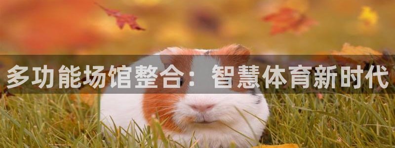 必一体育运动app下