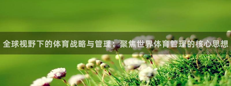 必一体育验证码：全球视野下的体育战略与管理：聚焦世界体育管理