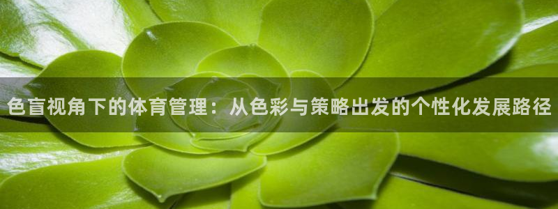 必一体育bsport