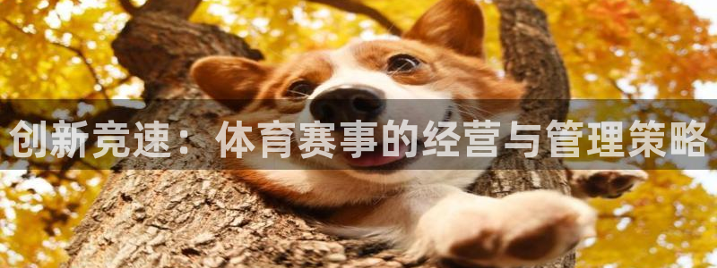 必一体育app官方下