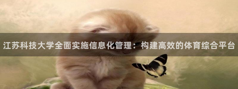 必一体育登录入口AP