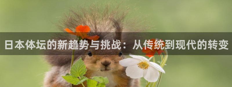 必一体育下载：日本体