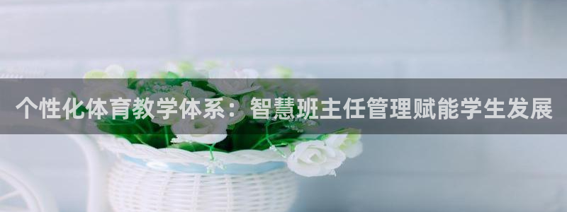 必一体育在哪下：个性