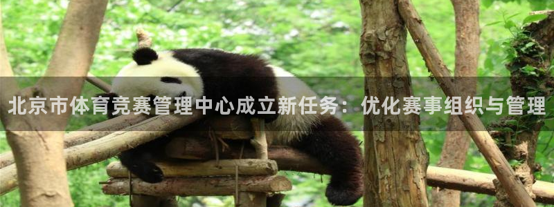 必一体育下载：北京市