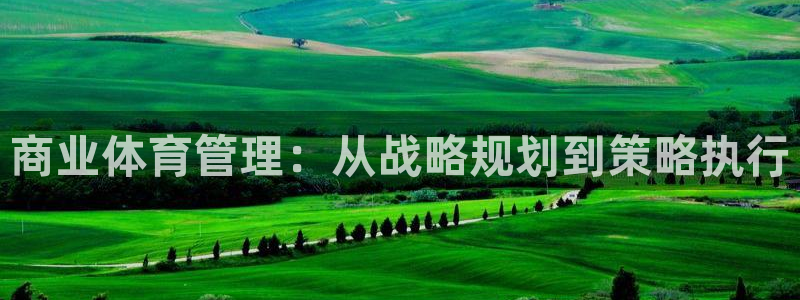 必一体育下载意思：商