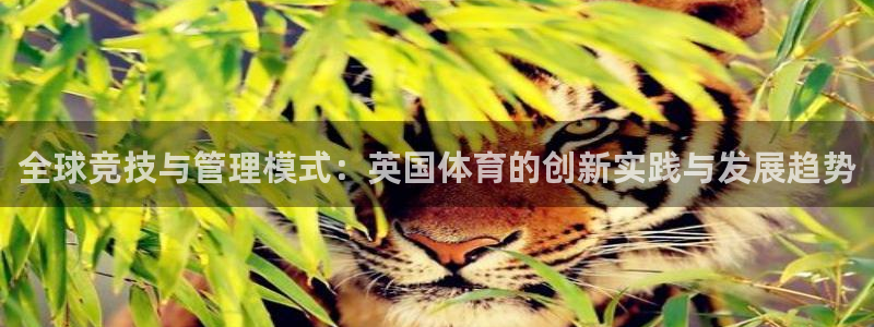 必一体育网页：全球竞