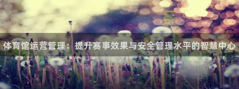必一体育周公：体育馆