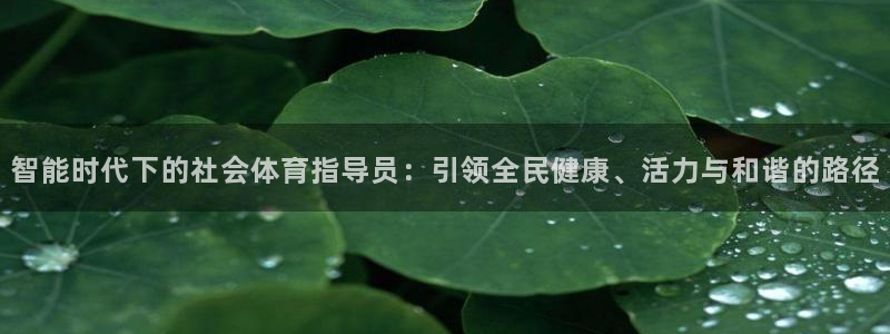 必一体育登录APP下