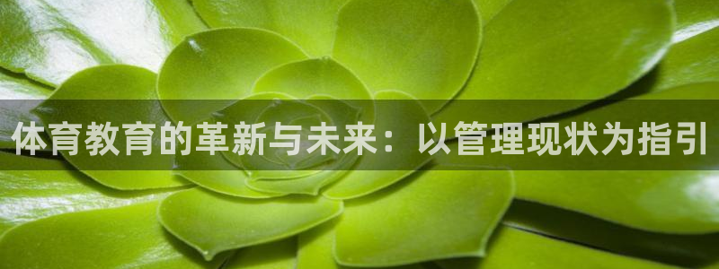必一体育官方下载：体