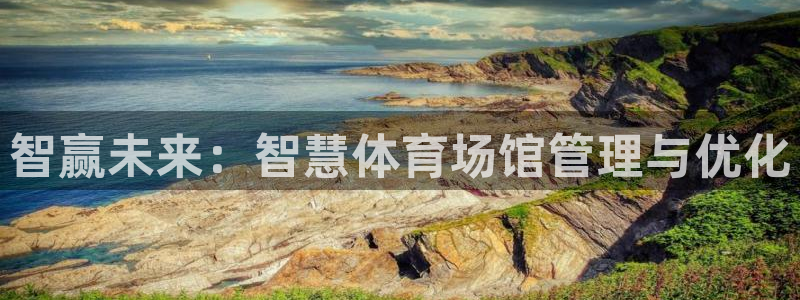 必一体育下载：智赢未
