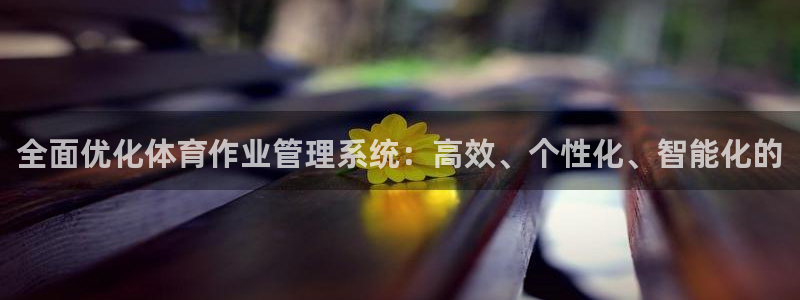 必一运动体：全面优化