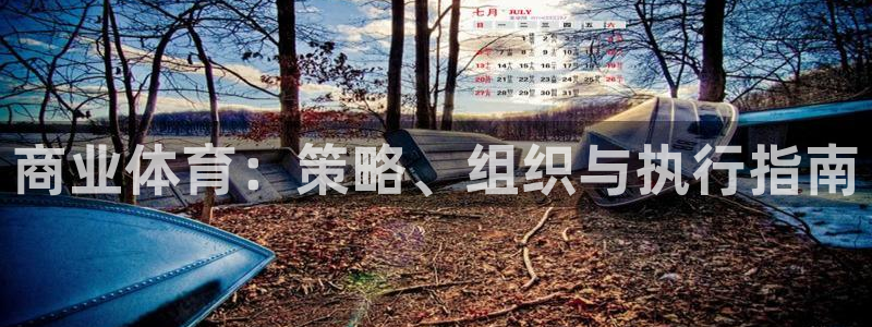 必一体育黑平台：商业