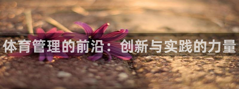 必一体育在线登陆：体