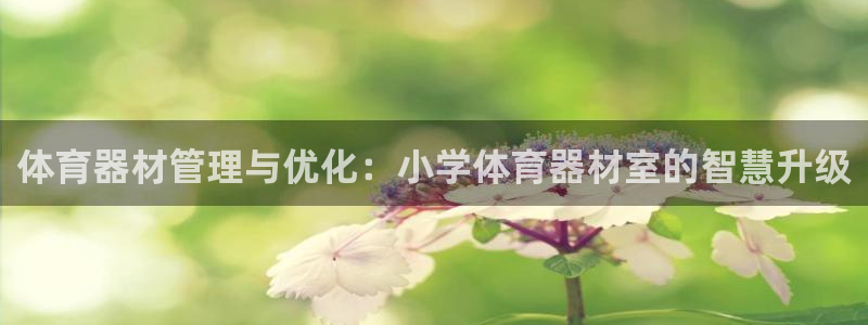必一体育运动平台官网：体育器材管理与优化：小学体育器材室的智