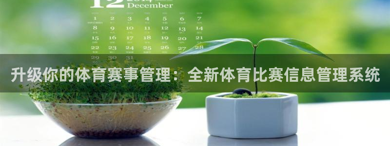 必一体育sport：