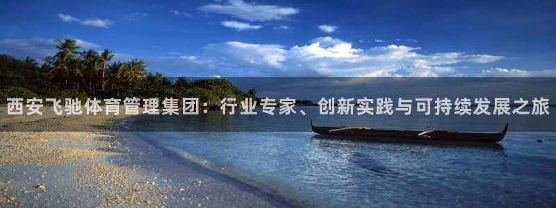 必一体育登录：西安飞