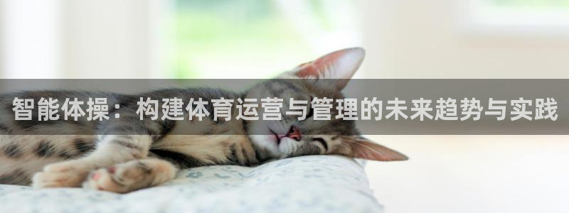 必一体育下载秀给网：