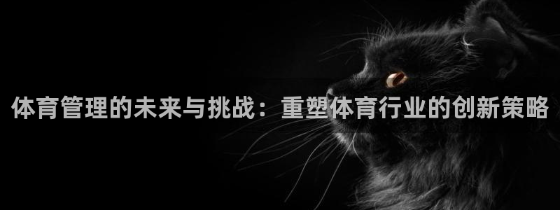 必一体育：体育管理的