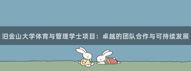 Bsport体育必一：旧金山大学体育与管理学士项目：卓越的团